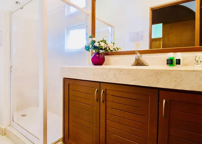 Gorgeous 11 People Superior With Pool Playacar Phase 2 Villa *