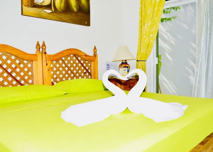 Gorgeous 11 People Superior With Pool Playacar Phase 2 Villa *