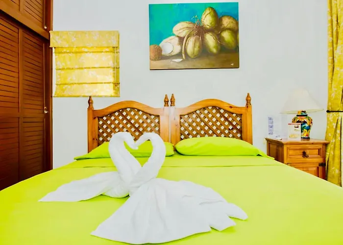 Villa Gorgeous 11 People Superior With Pool Playacar Phase 2 Playa del Carmen