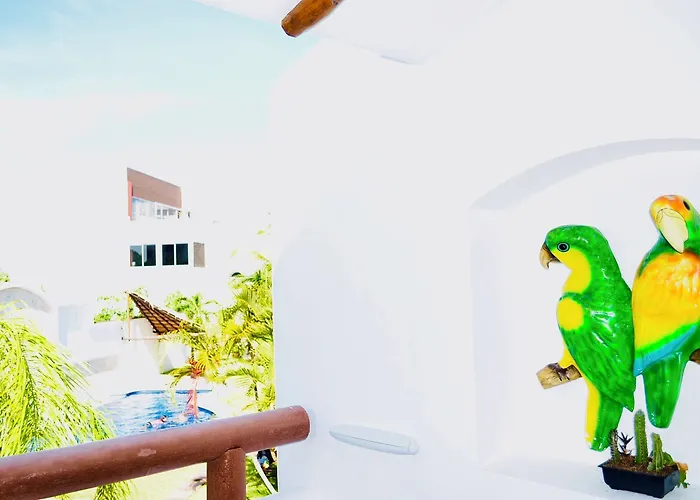 Villa Gorgeous 11 People Superior With Pool Playacar Phase 2 Playa del Carmen